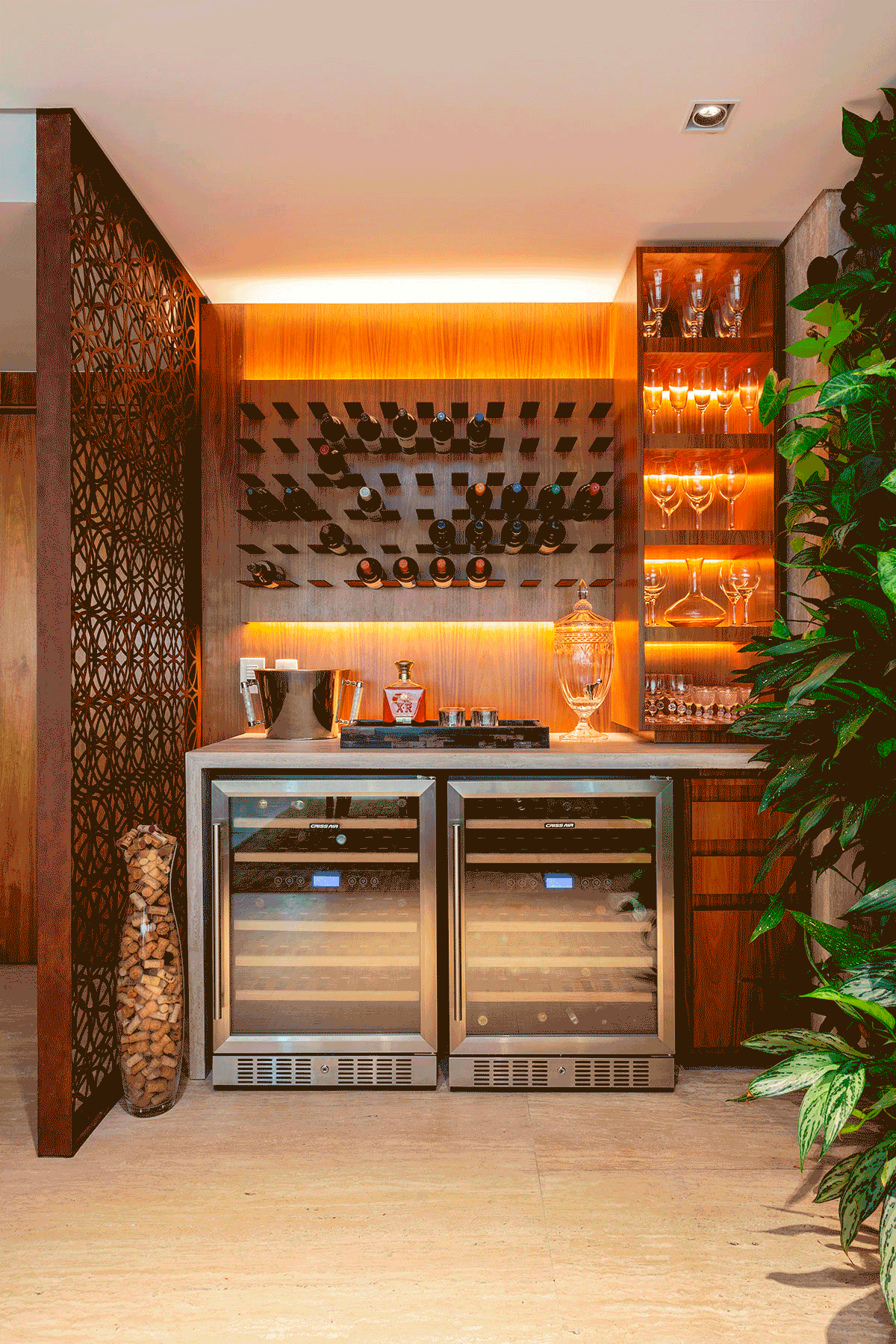 Adega climatizada vs. cervejeira