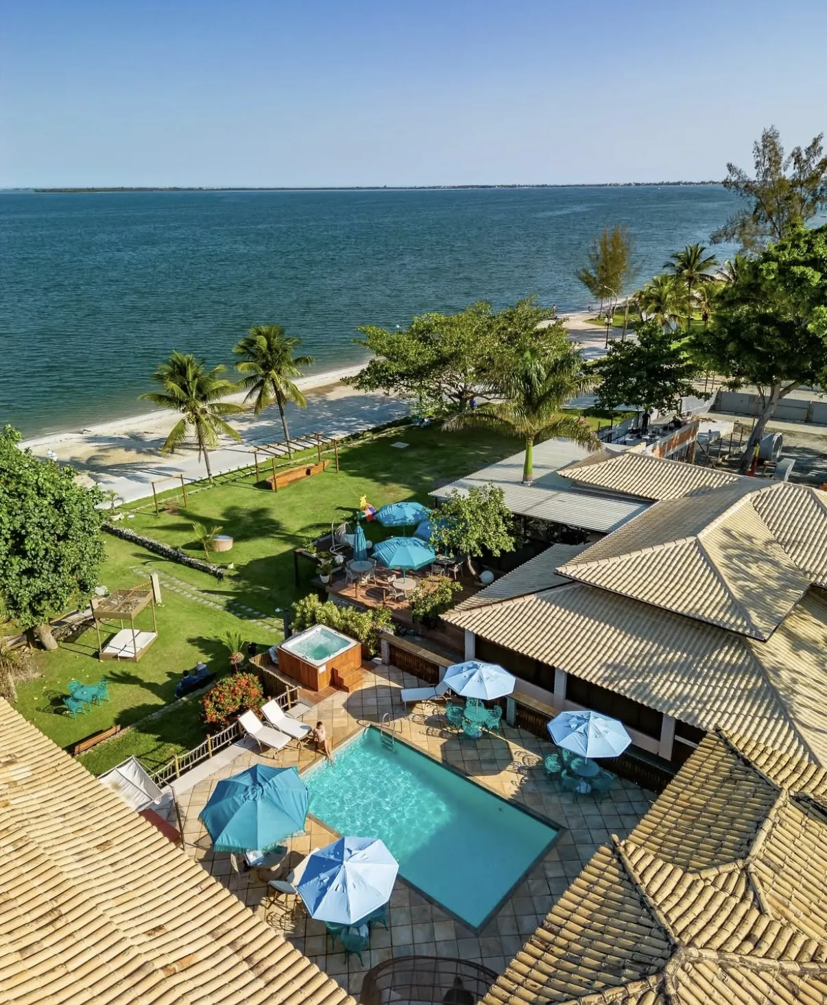 Flores que mudam de cor