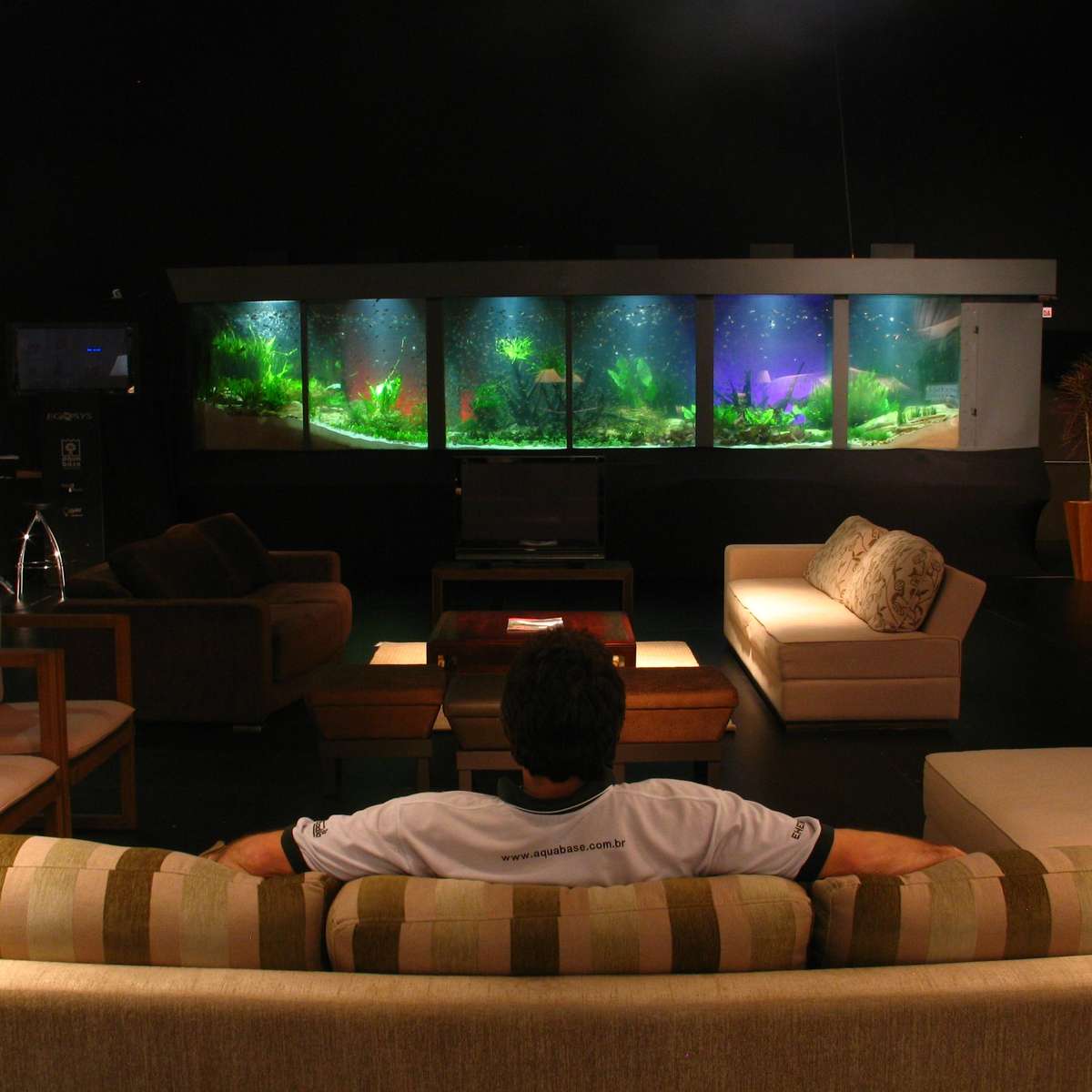 ideias criativas de aquário na sala de estar