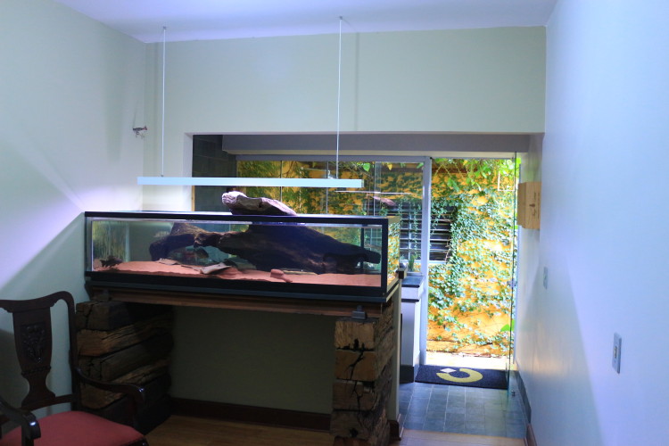 custo médio de um aquário na sala