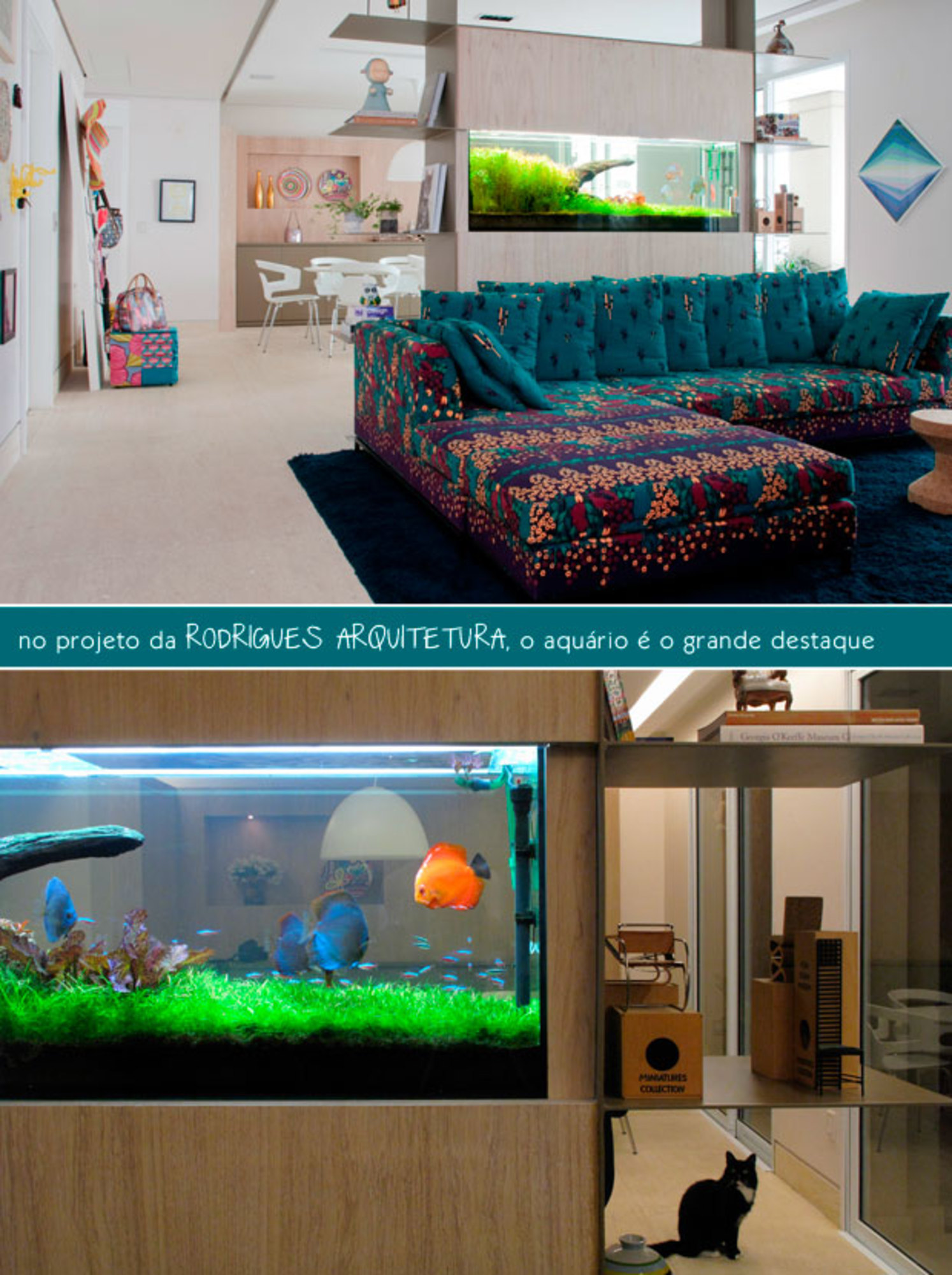 erros comuns ao instalar aquário na sala