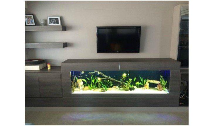 ideias criativas de aquário na sala de estar