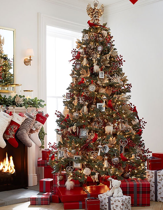 árvore de natal pinheiro tradicional