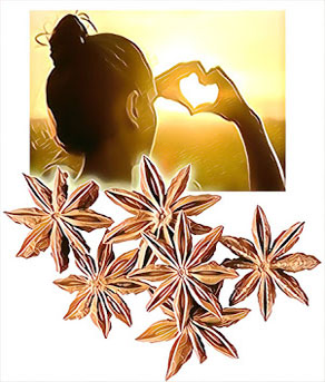 propriedades energéticas do anis estrelado