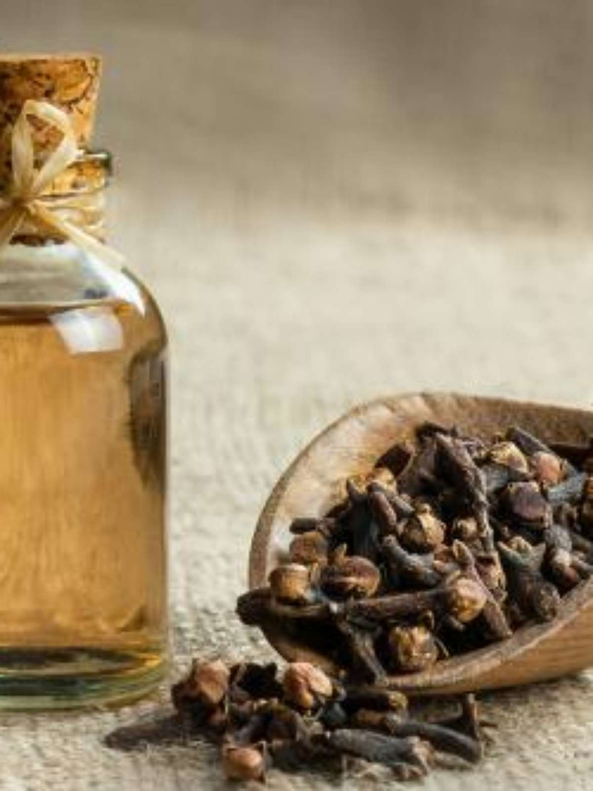 banho de cravo e canela para prosperidade