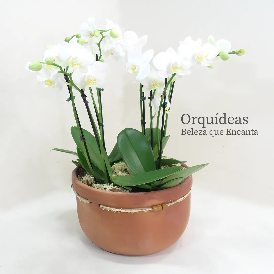 Decoração Rústica e Elegante para Bodas de 40 Anos