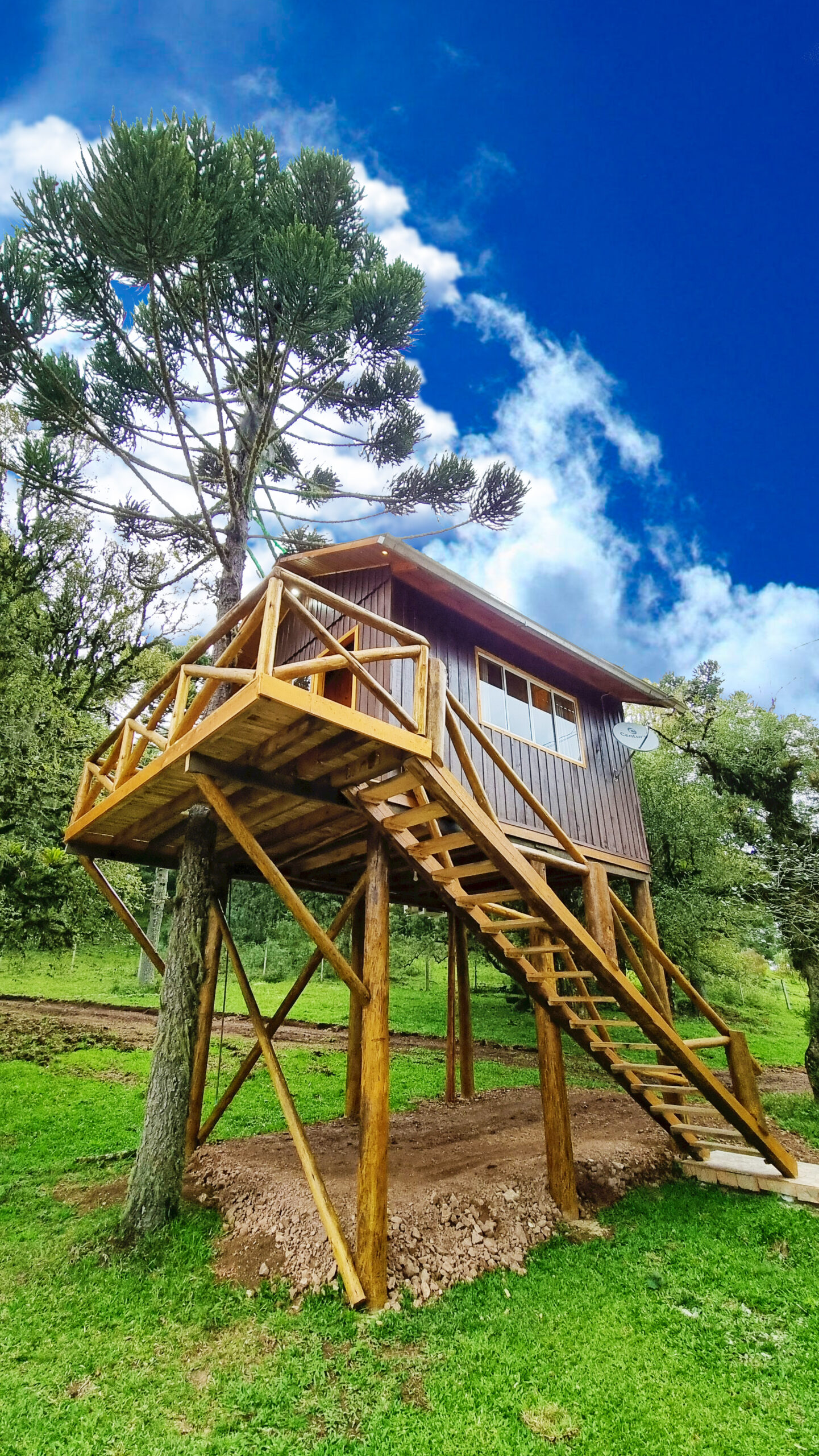 cabana suspensa para alugar