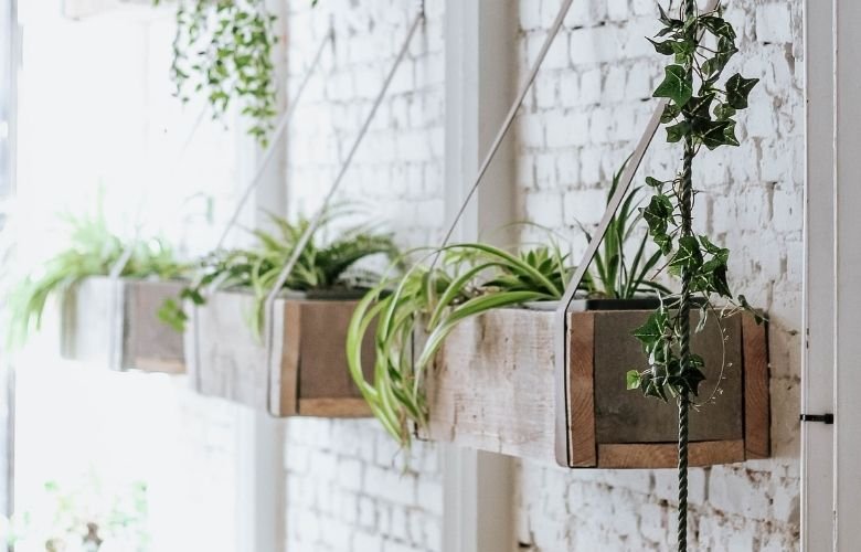 erros comuns ao usar cachepo