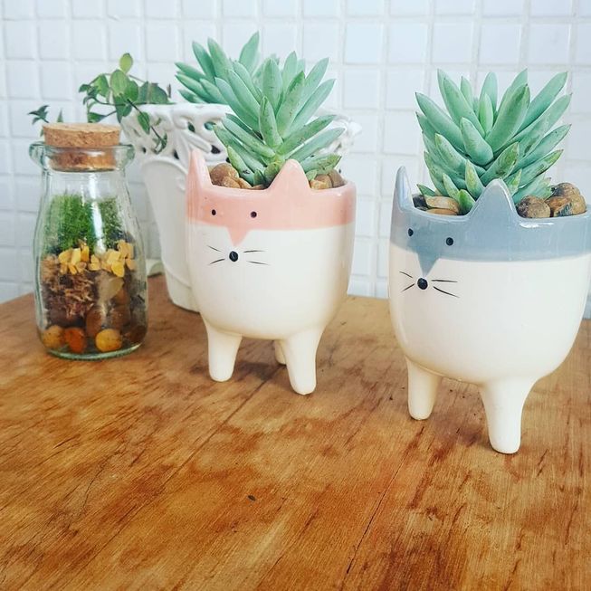 cachepo de ceramica vs cachepo de madeira