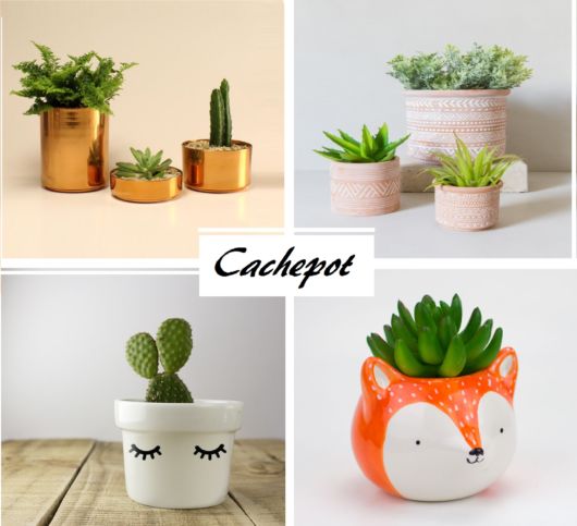 ideias de cachepo para decorar sala