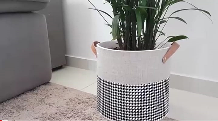 cachepo para suculentas pequenas