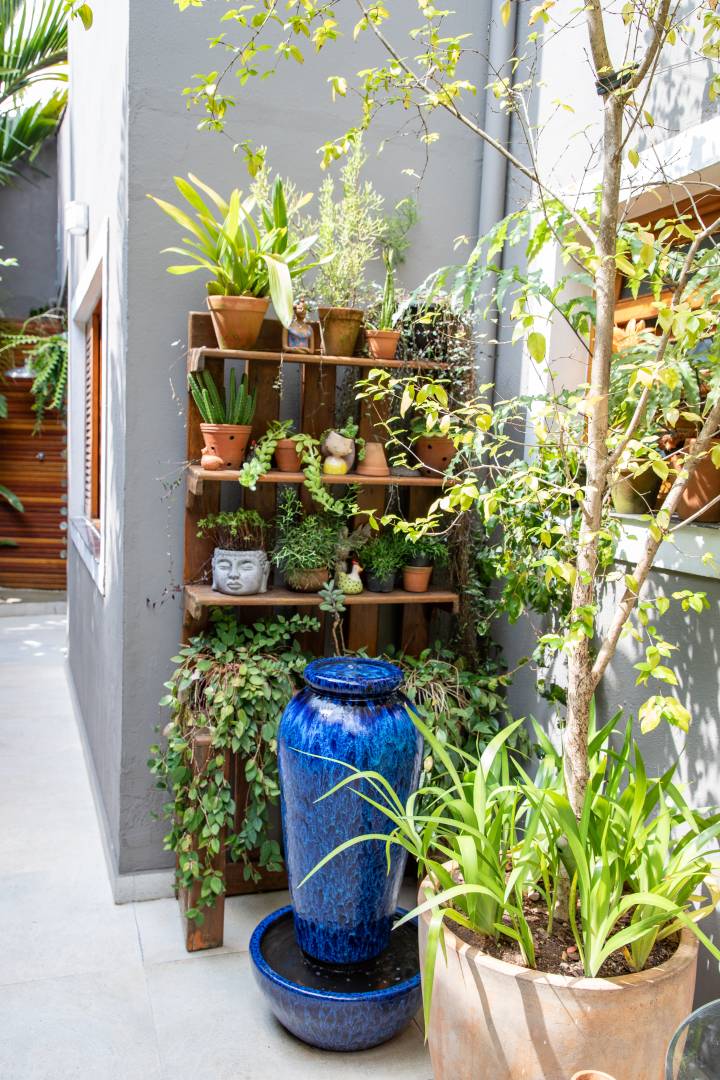 ideias de cachepo para decorar sala