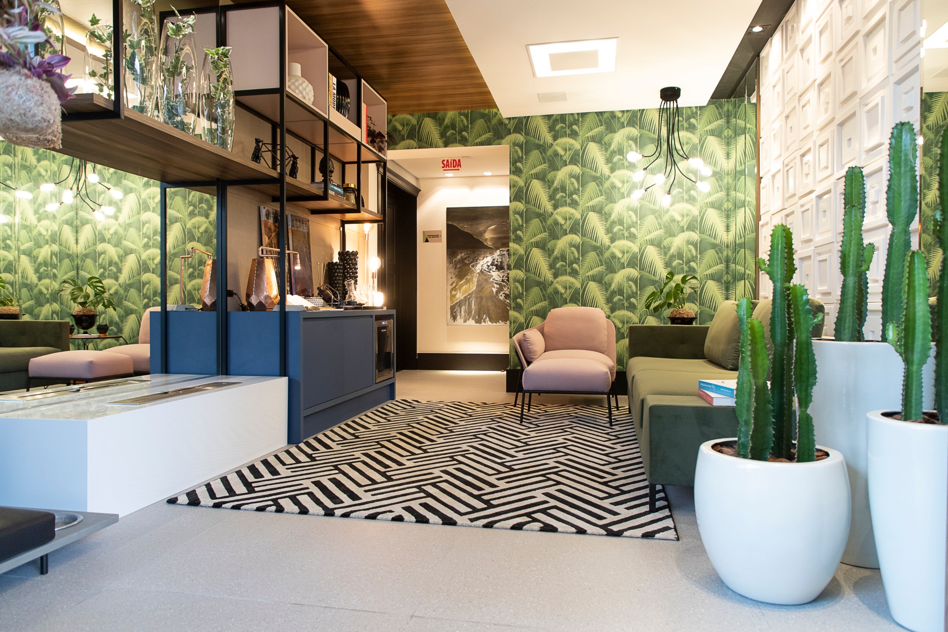 cacto decoração sala