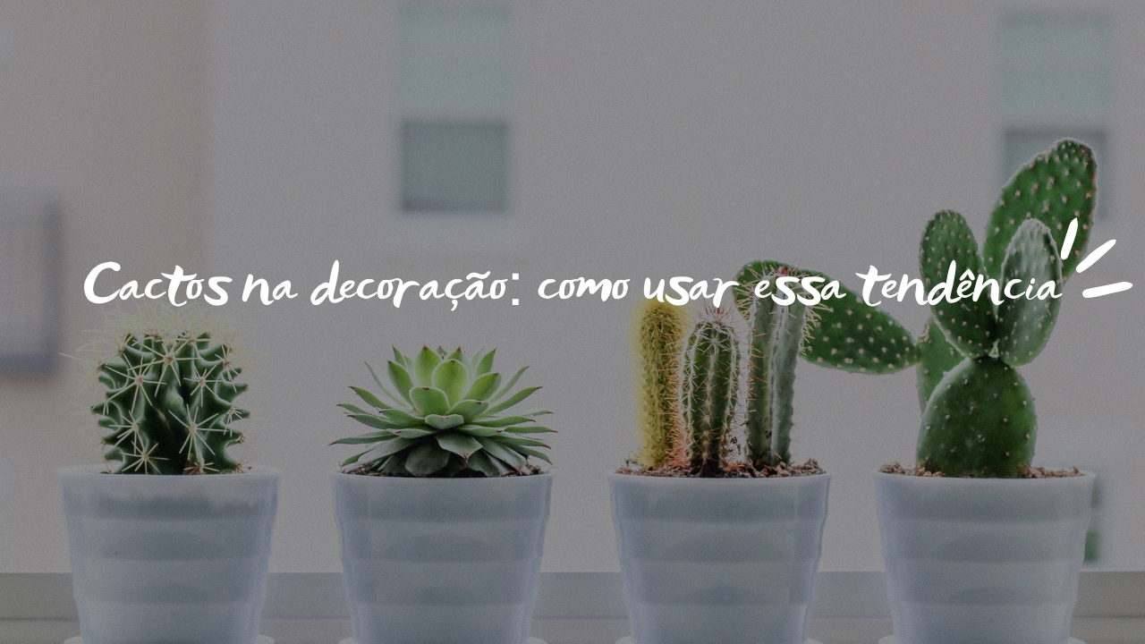 cacto decoração sala
