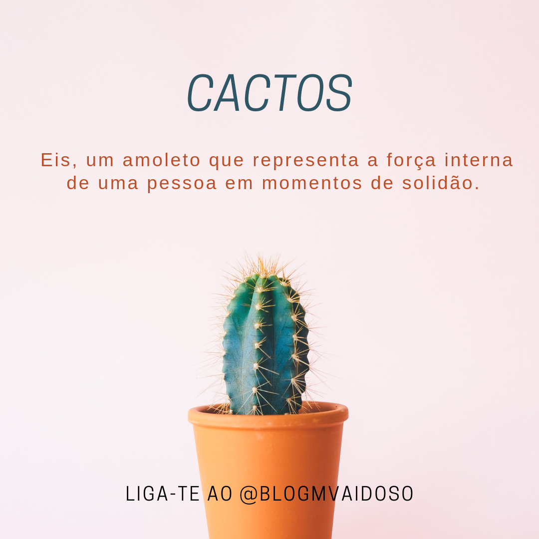 cacto e resiliência