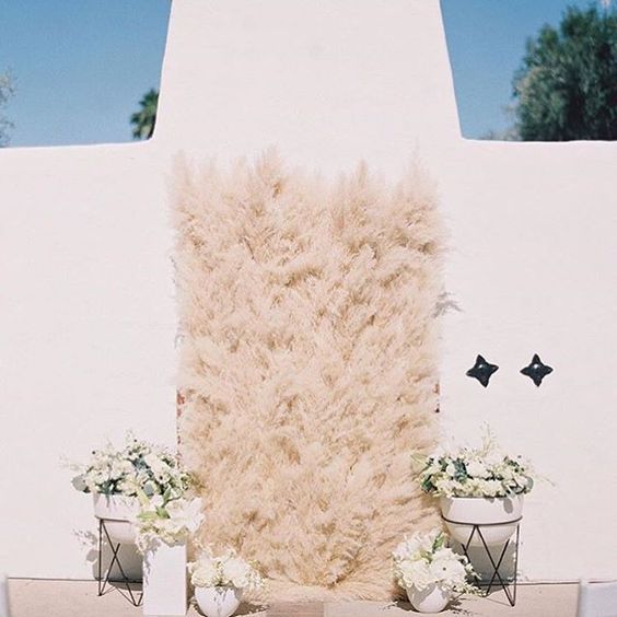 5 ideias de títulos:
1. Capim dos Pampas: O Guia Completo para uma Decoração Boho Chic
2. Transforme sua Casa: Inspirações Incríveis com Capim dos Pampas
3. Como Cuidar do seu Capim dos Pampas e Fazer Durar Anos
4. Capim dos Pampas em Casamentos e Eventos: Toque de Elegância Natural
5. Do Minimalista ao Rústico: Versatilidade do Capim dos Pampas na Decoração