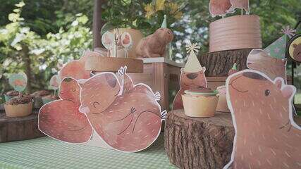 onde comprar miniaturas de capivara para decoração