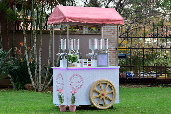 erros comuns ao escolher carrinho de festa