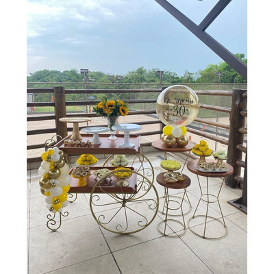 carrinho de festa comprar versus alugar