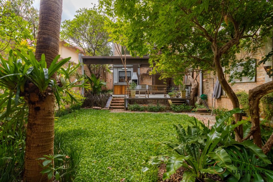 casa com quintal para cachorro