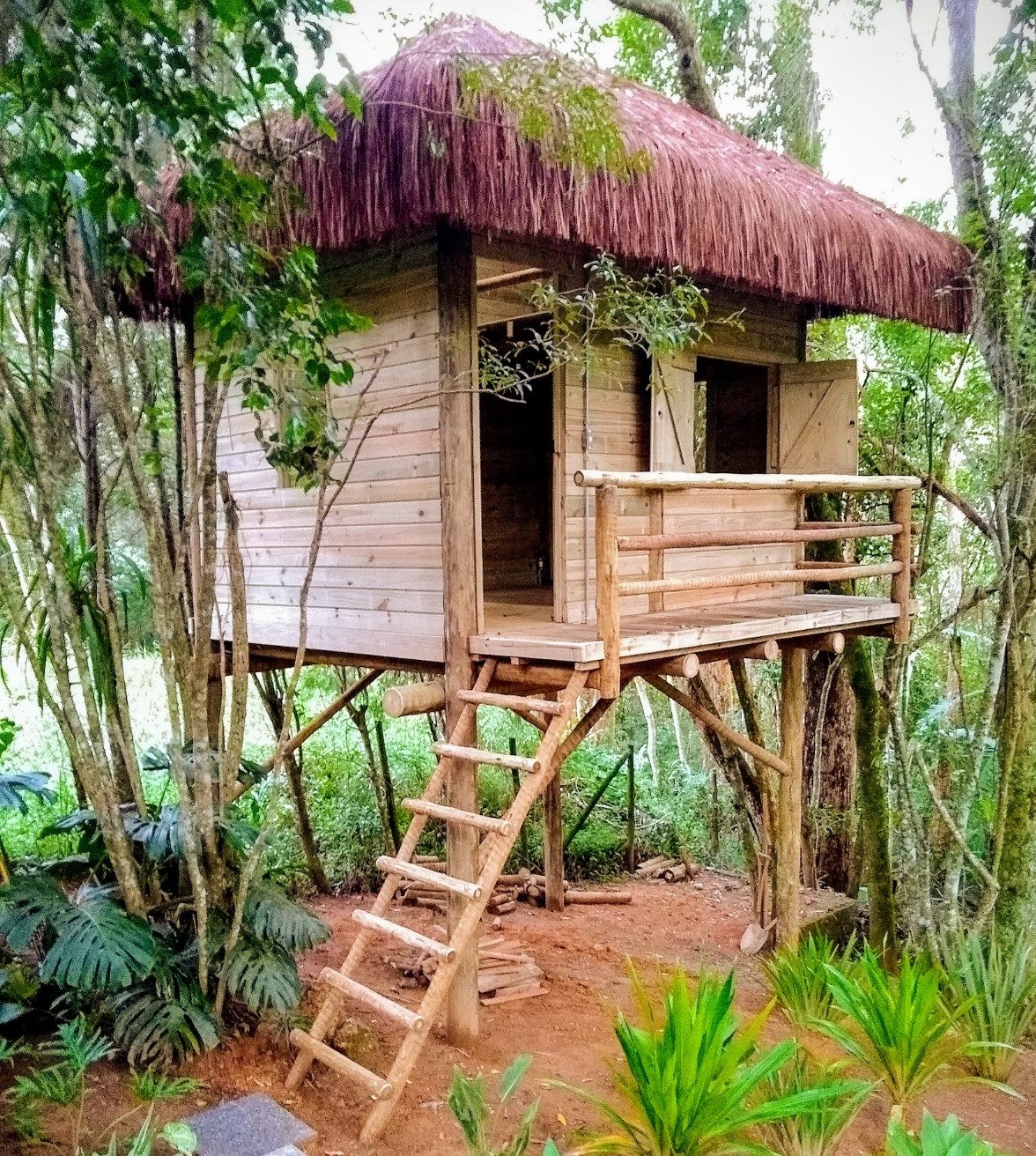 Projetos casa de eucalipto