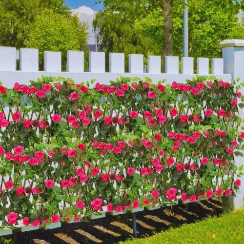 muro verde com plantas