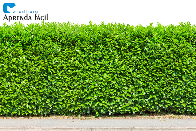 espécies de cerca viva