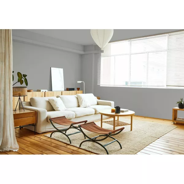 cinza elefante em quartos