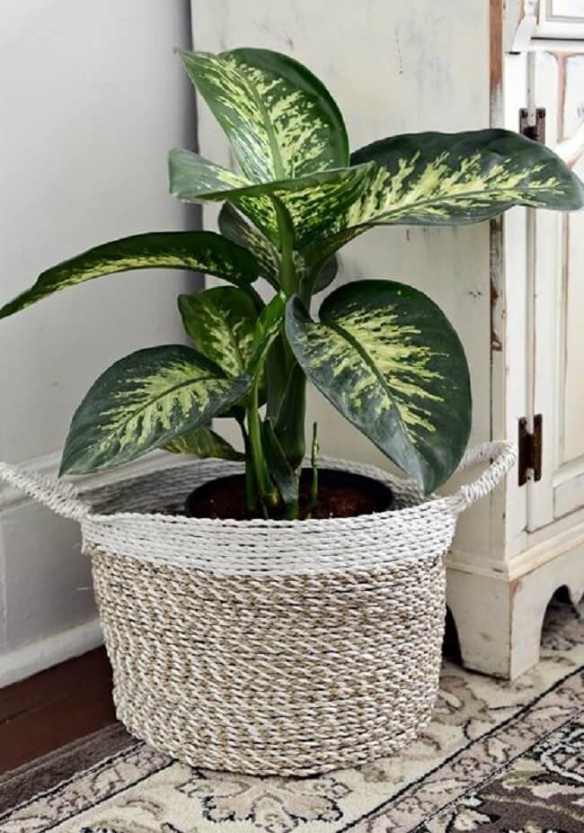 inspiração para decorar com comigo ninguém pode