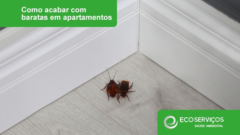 gel inseticida vs. pó inseticida para baratas