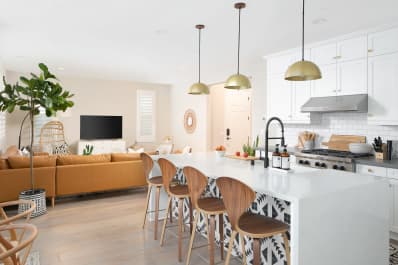 Guia Completo de Plantas para Cozinhas Boêmias