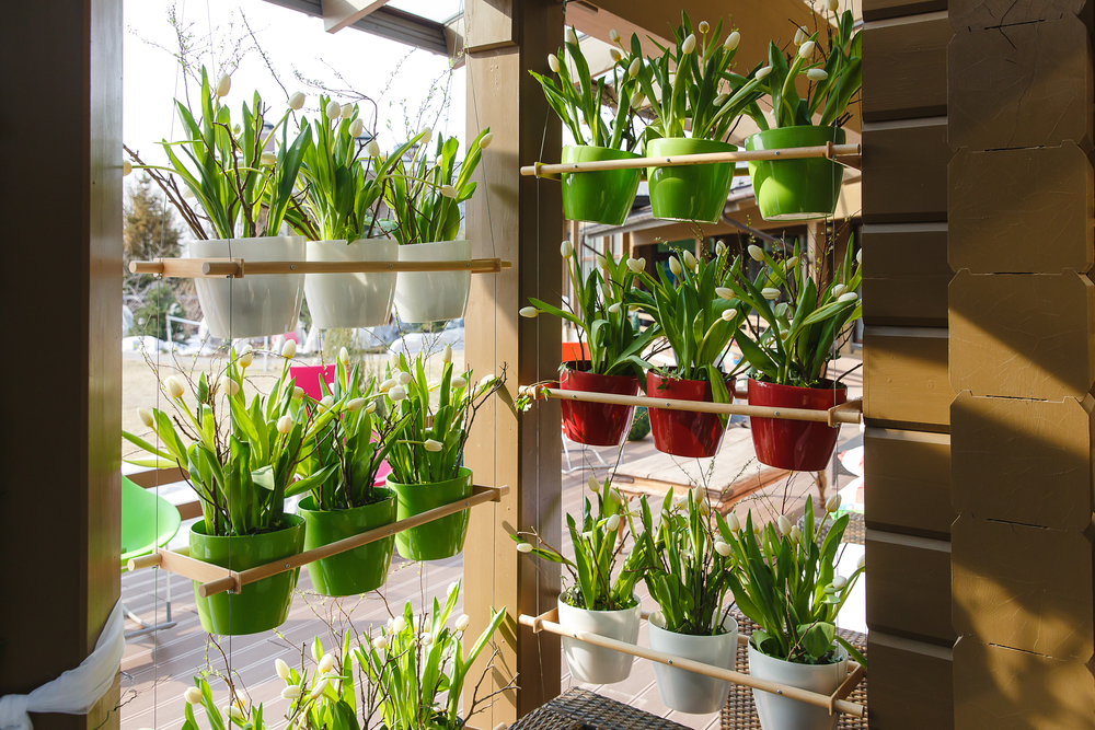 ideias criativas de horta suspensa com materiais reaproveitados