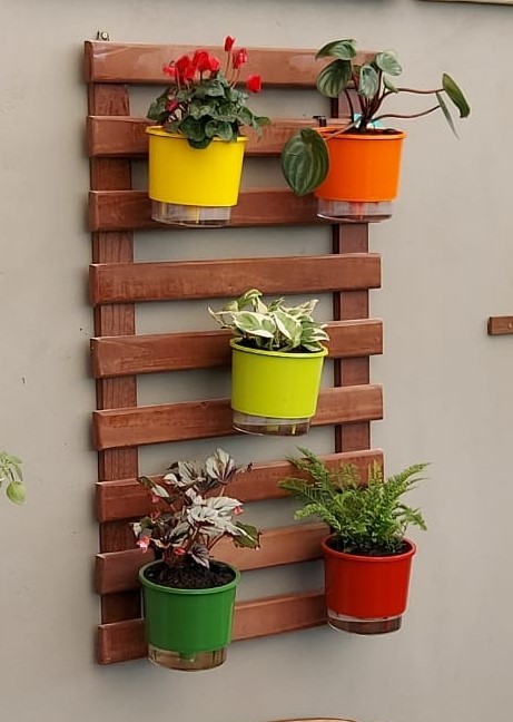 Melhores Plantas para Jardim Vertical com Pouca Luz