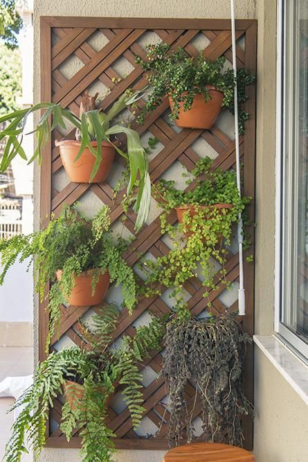 Ideias Criativas de Vasos para Jardim Vertical de Treliça