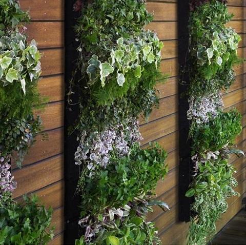 Jardim Vertical na Sacada: Dicas para Otimizar Espaços Pequenos