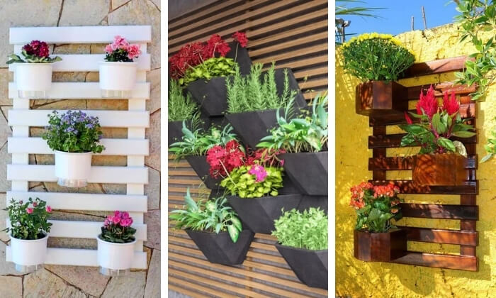 Melhores Plantas para Jardim Vertical com Pouca Luz