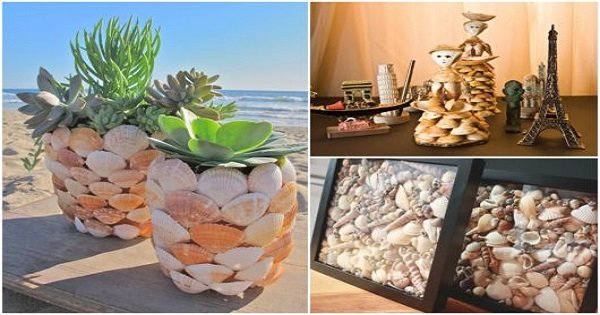 onde comprar conchas decoração barato