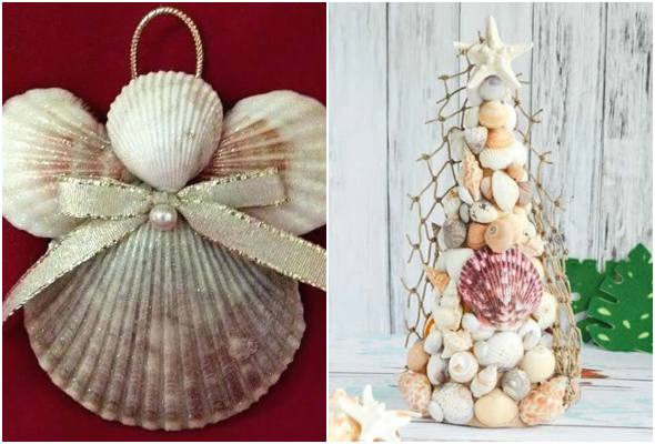 conchas decoração