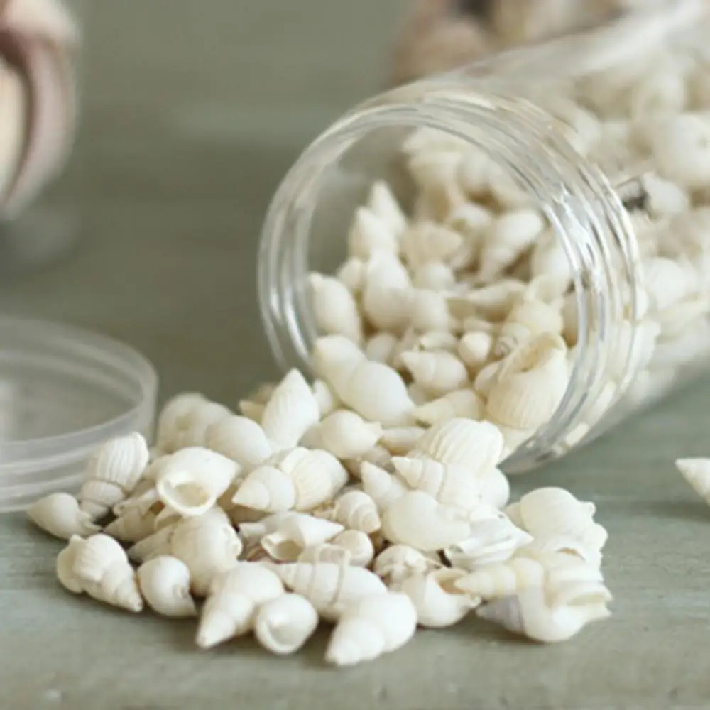 evitar erros usar conchas decoração