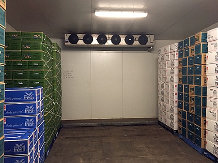 estilo contemporâneo