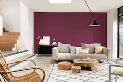 erros comuns ao pintar cabelo de amora