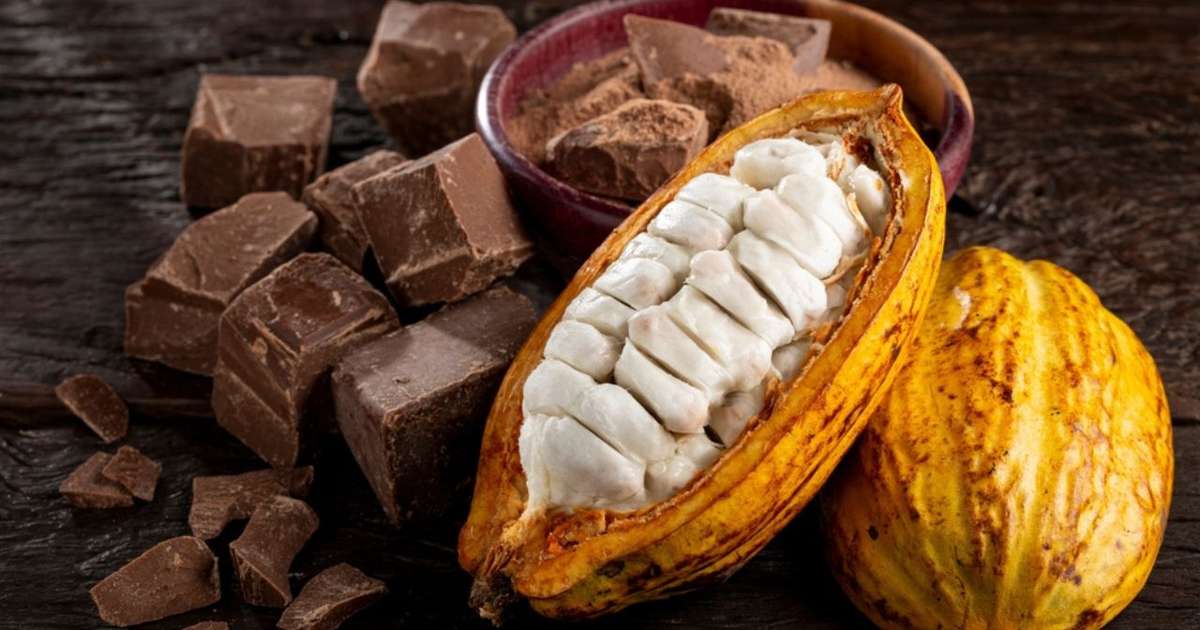 cor cacau vs marrom chocolate qual escolher
