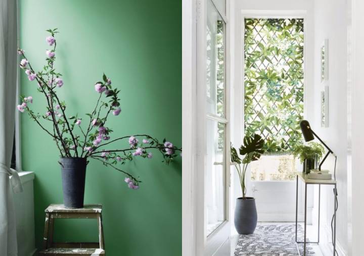 cores que transmitem alegria