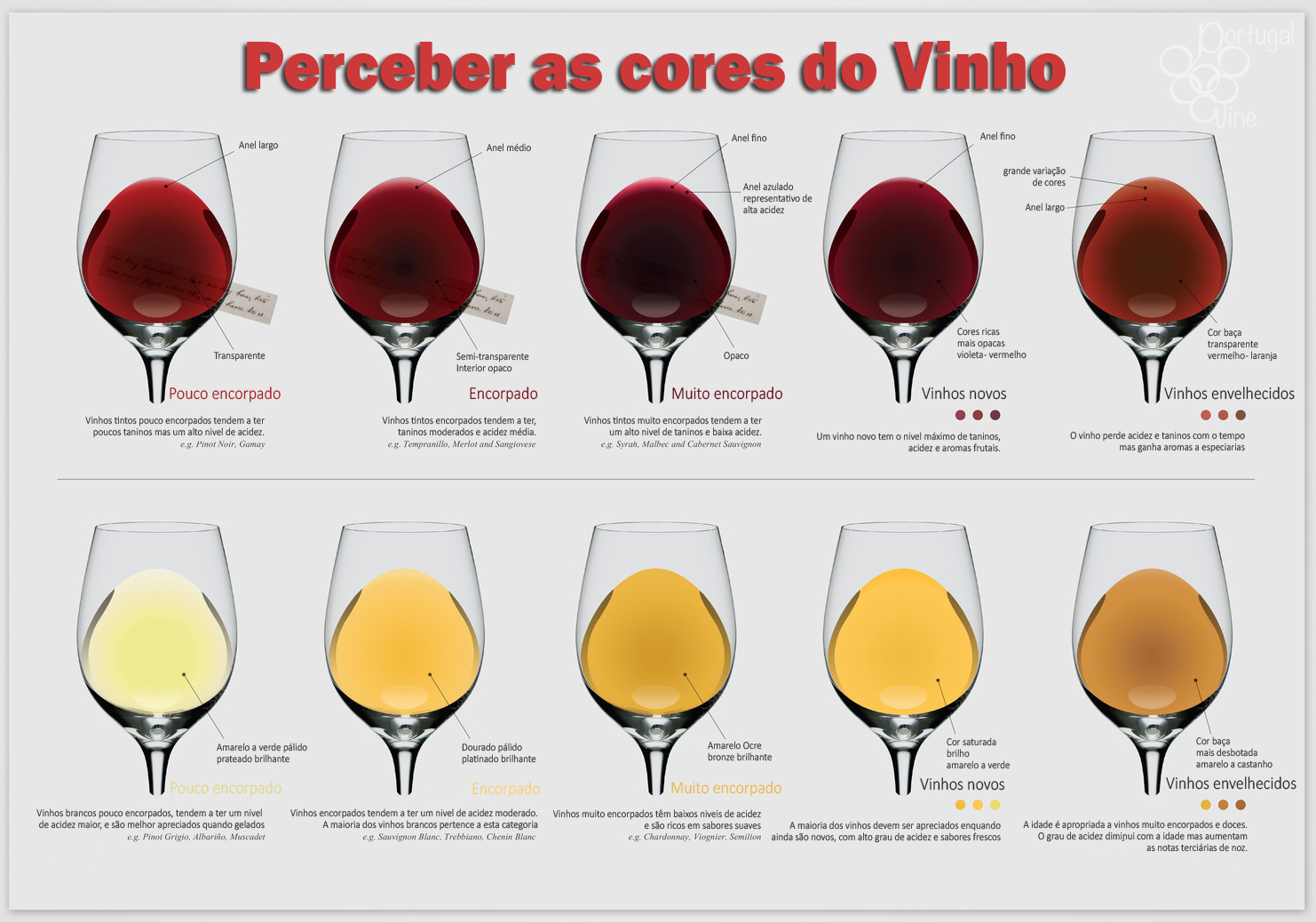 Vinho Bordô