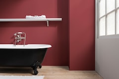 cor goiaba vs coral qual escolher