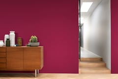 cores inspiradas na natureza maravilha