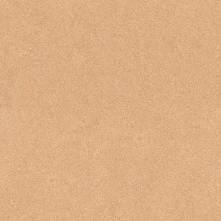 Camel (Camelo)