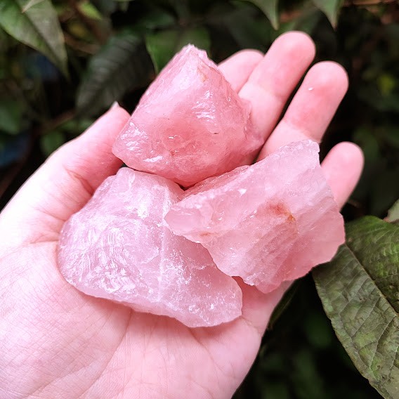 quartzo rosa signos touro libra