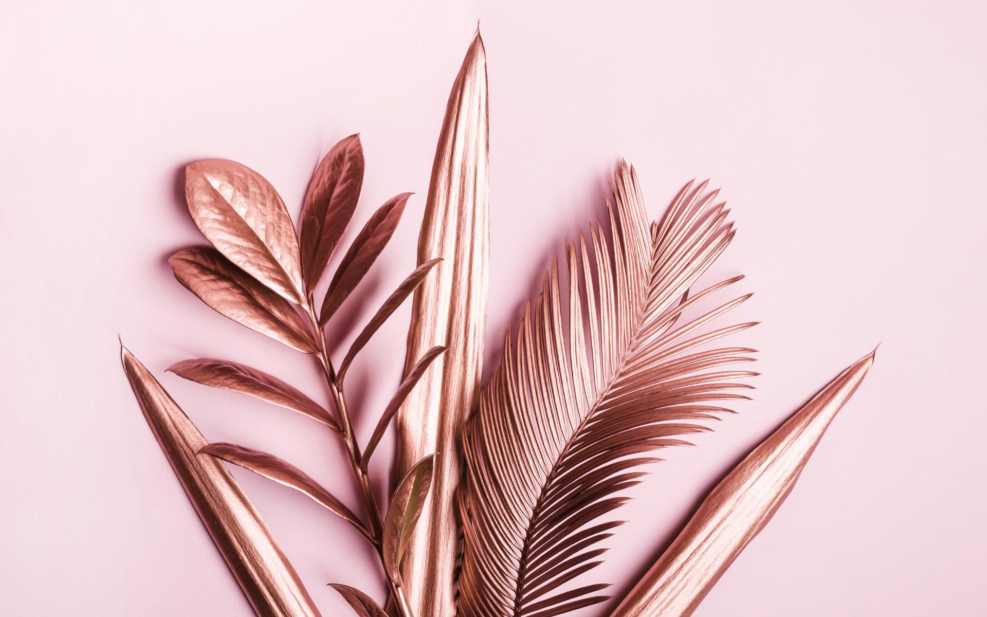 como misturar tinta para obter cor rosê