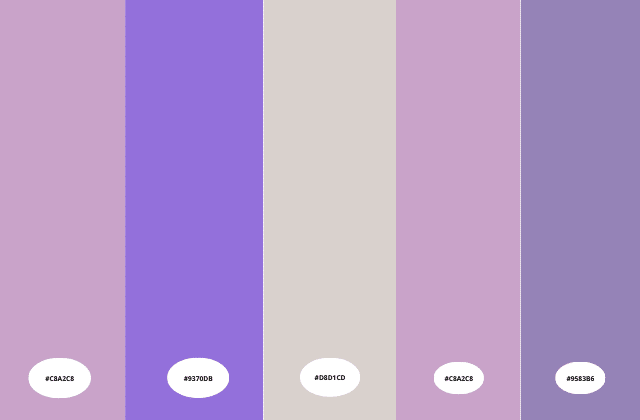 lilás vs lavanda qual cor combina mais